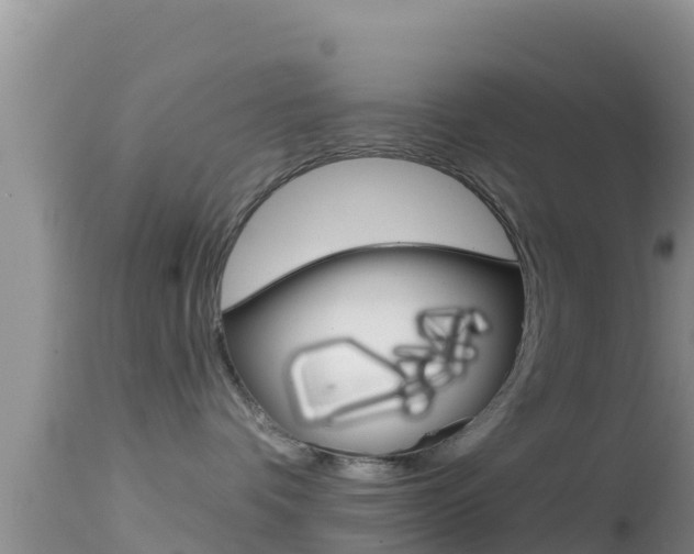 X0000114400336200910161102