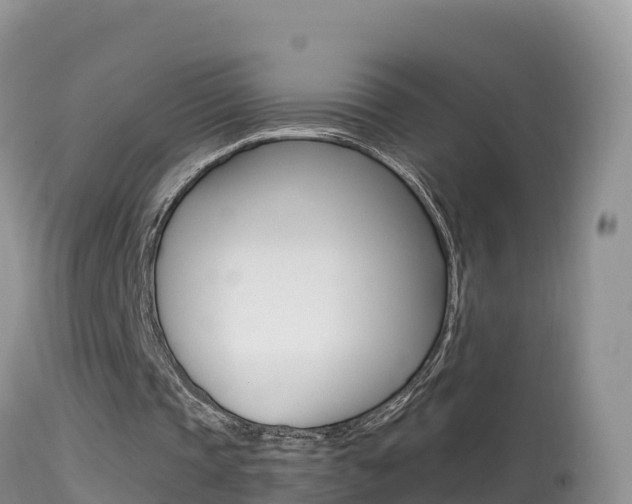 X0000114400337200910161101