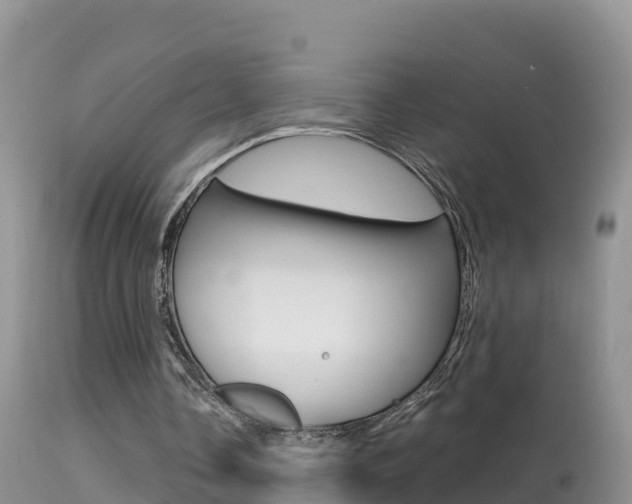 X0000114400338200910161101