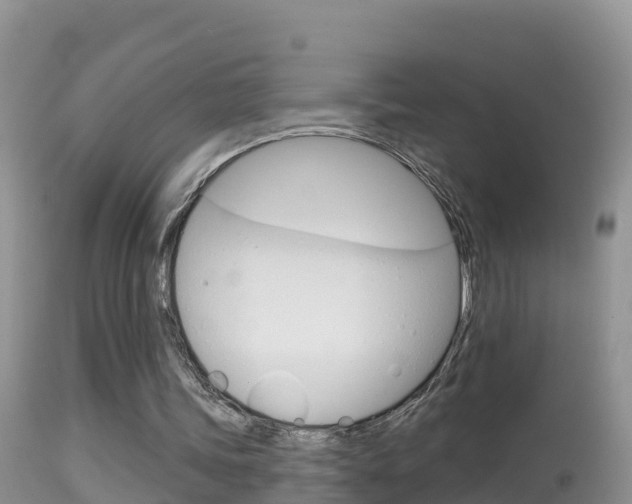 X0000114400339200910161101