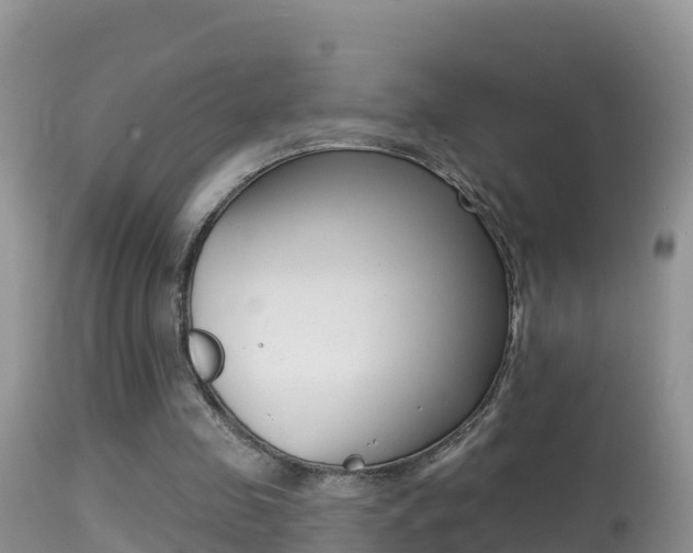 X0000114400341200910161101