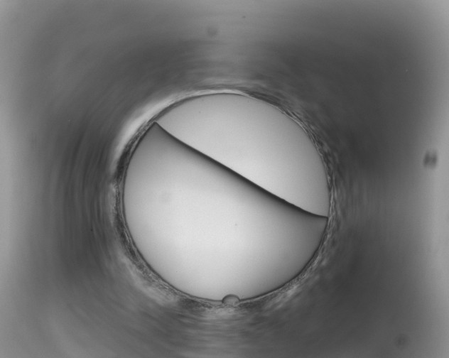 X0000114400342200910161101