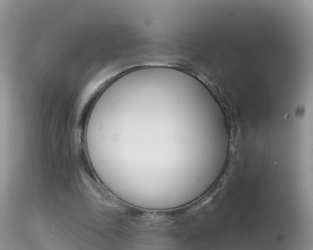 X0000114400343200910161101