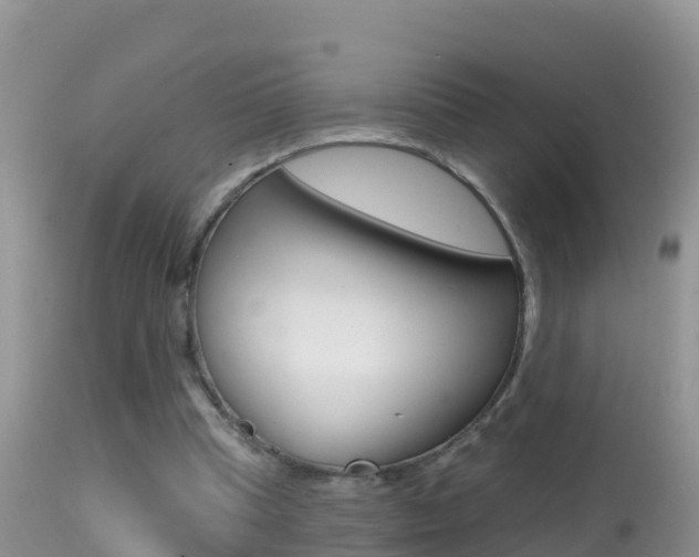 X0000114400345200910161101