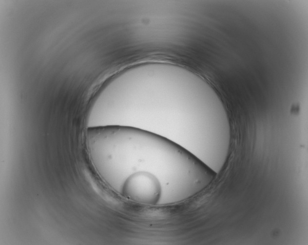 X0000114400349200910161101