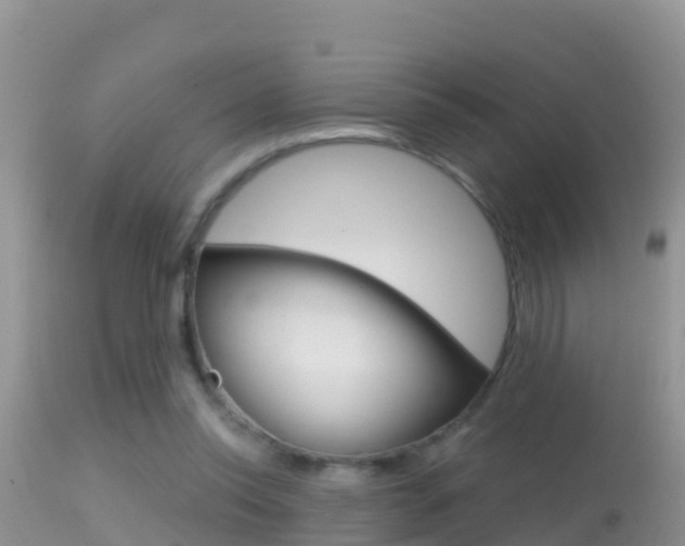 X0000114400350200910161101