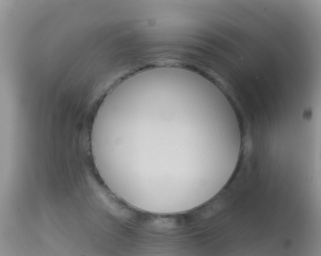 X0000114400353200910161101