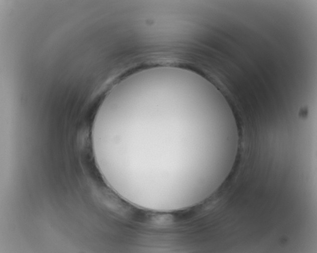 X0000114400355200910161101
