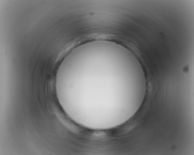 X0000114400357200910161101