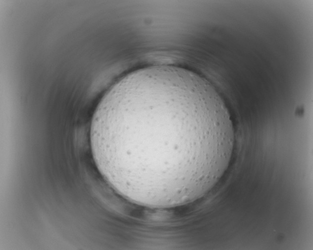 X0000114400359200910161101