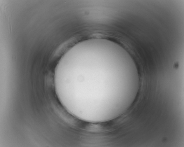 X0000114400361200910161101