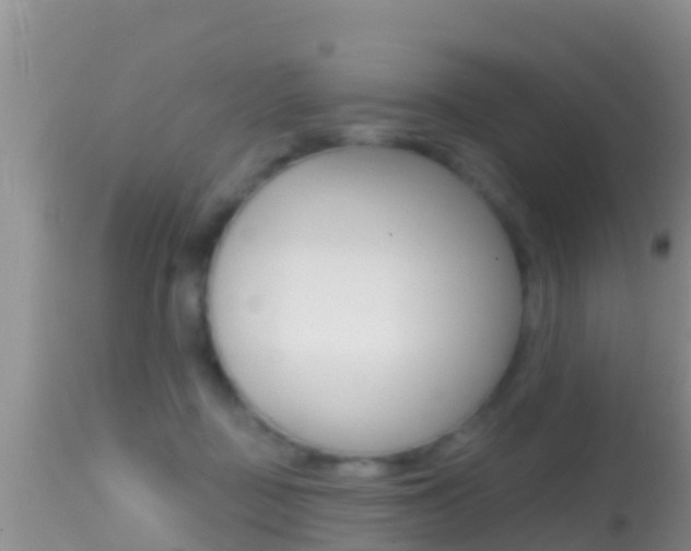 X0000114400363200910161102