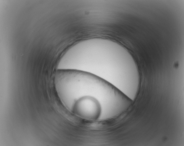X0000114400366200910161102
