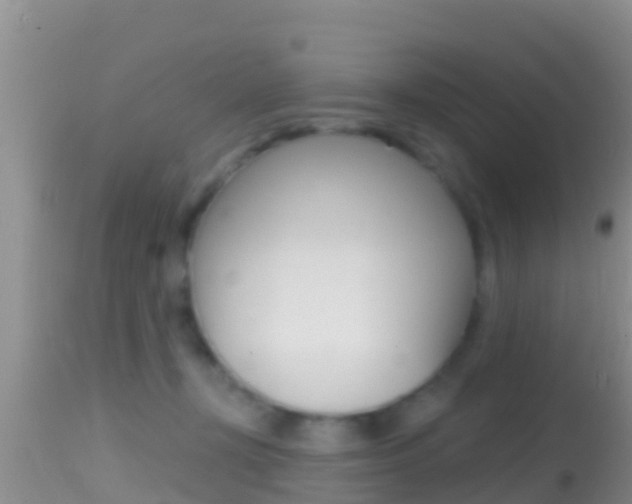 X0000114400367200910161102