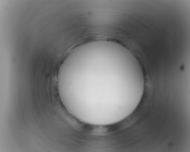X0000114400369200910161102