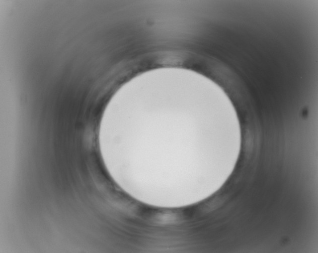 X0000114400370200910161102