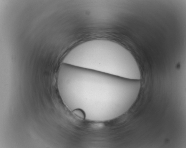 X0000114400374200910161102