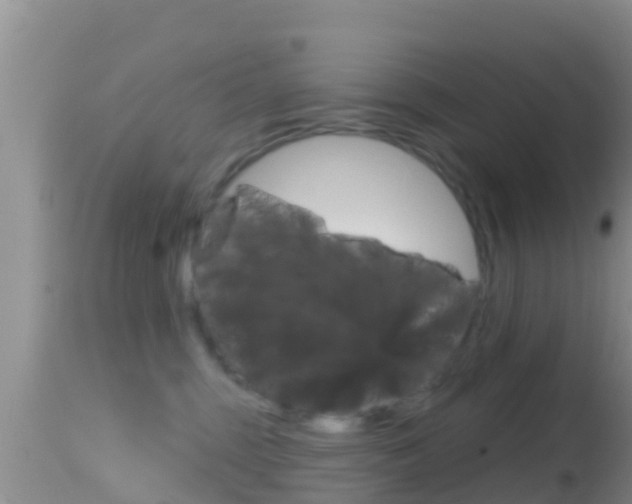 X0000114400375200910161102