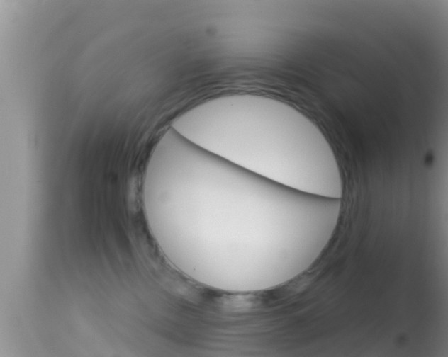 X0000114400378200910161102