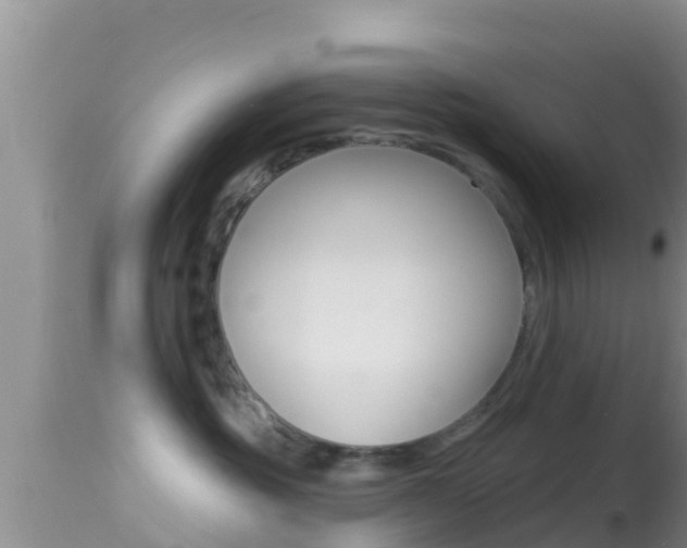X0000114400381200910161102