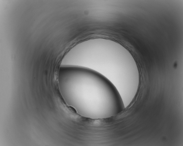 X0000114400382200910161102
