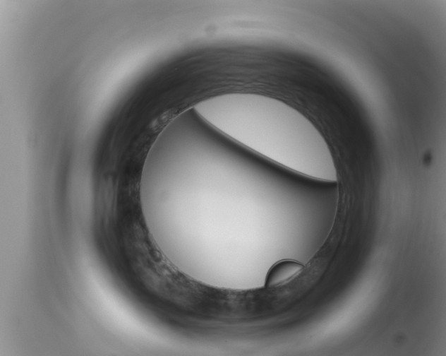 X0000114400383200910161102