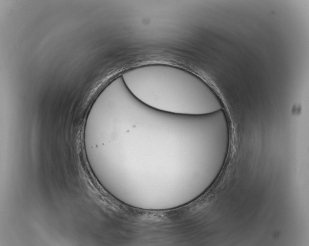 X0000114400386200910161101