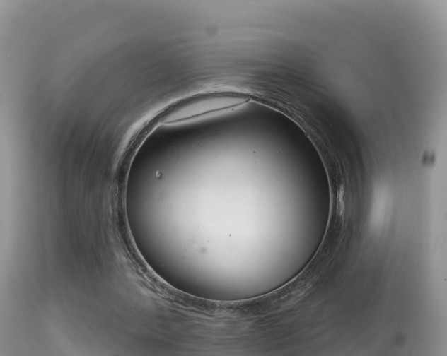 X0000114400388200910161101
