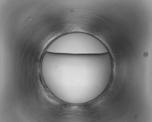 X0000114400390200910161101
