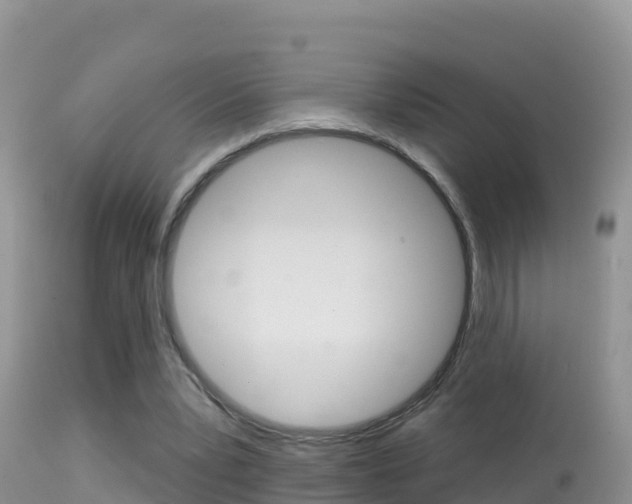 X0000114400391200910161101