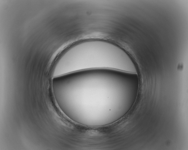 X0000114400392200910161101