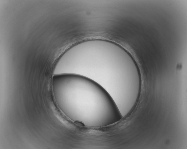 X0000114400393200910161101