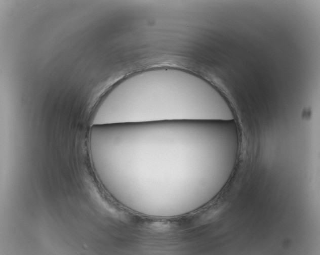 X0000114400394200910161101