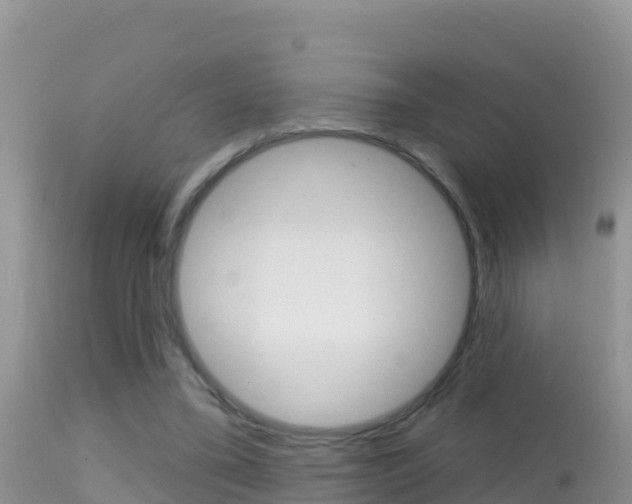 X0000114400395200910161101