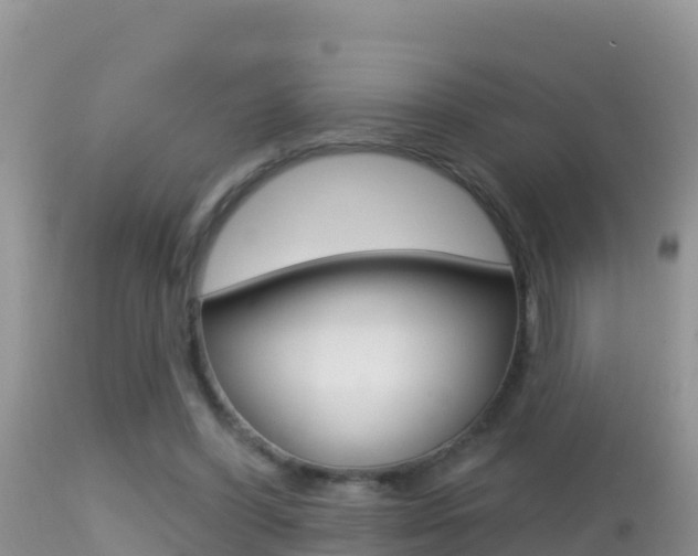 X0000114400396200910161101