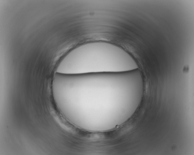 X0000114400398200910161101