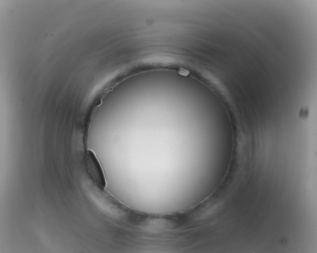 X0000114400399200910161101