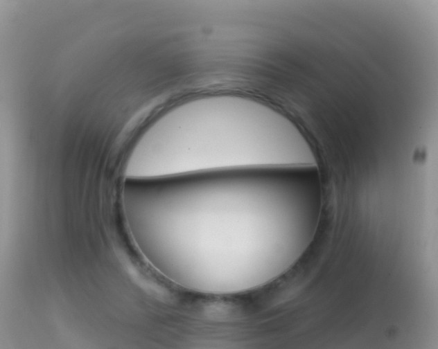 X0000114400400200910161101