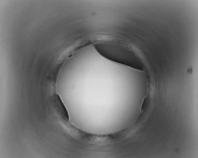 X0000114400401200910161101