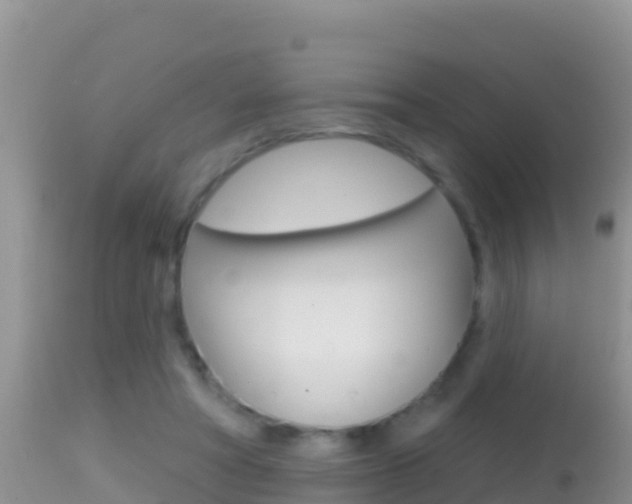 X0000114400402200910161101