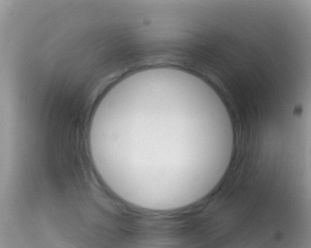X0000114400403200910161101