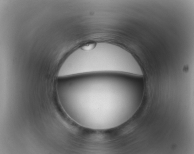 X0000114400404200910161101