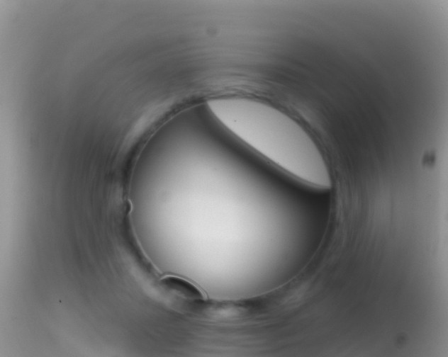 X0000114400407200910161101