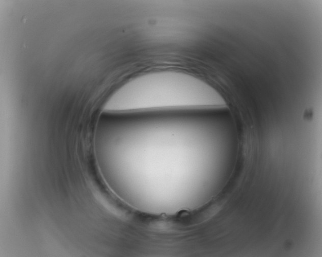 X0000114400408200910161101