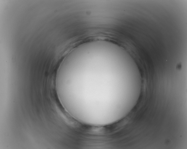 X0000114400410200910161101