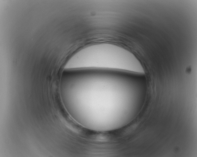 X0000114400412200910161101