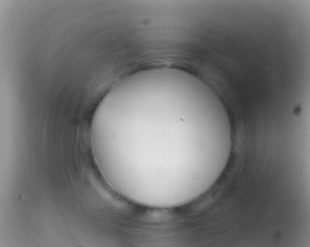 X0000114400414200910161101