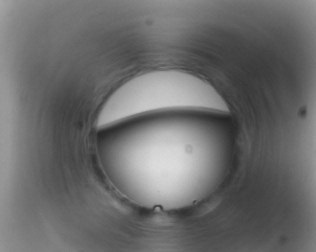 X0000114400416200910161101