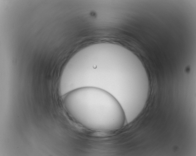 X0000114400417200910161101