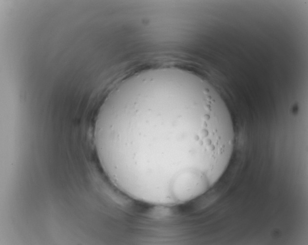 X0000114400418200910161101
